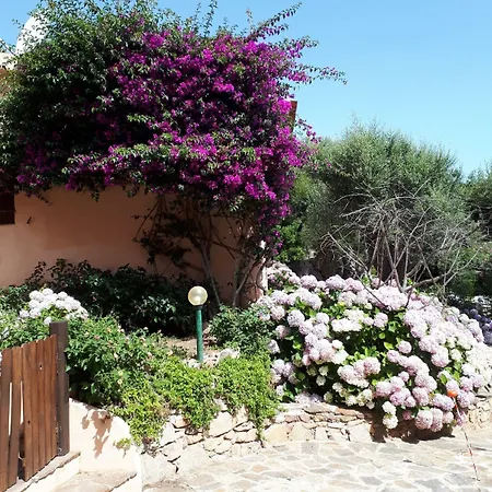 Residenza Arnica Porto Rotondo