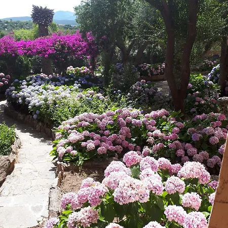 Residenza Arnica Apartment Porto Rotondo