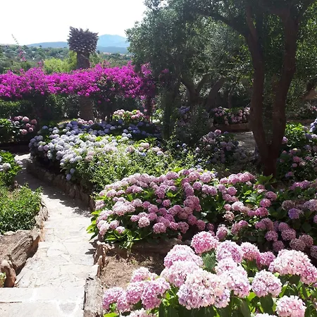 Residenza Arnica * Porto Rotondo
