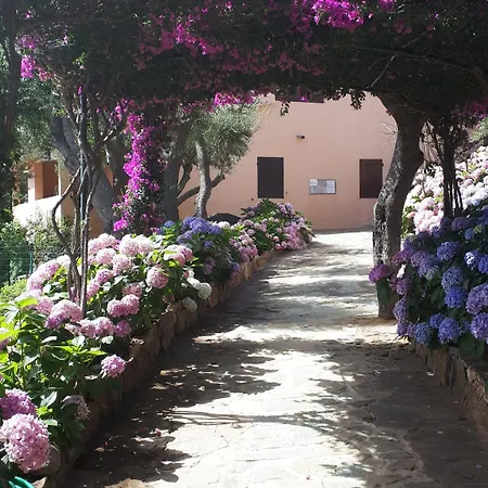 Residenza Arnica Porto Rotondo